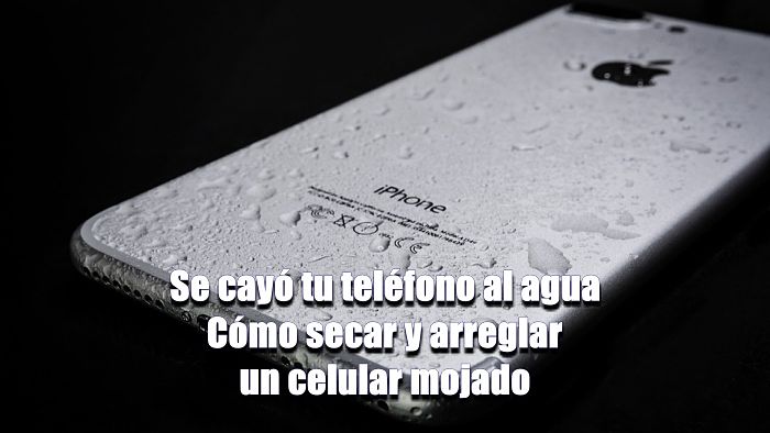 COMO LIMPIAR UN CELULAR MOJADO visual data 4